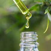 validcbdoil validcbdoil